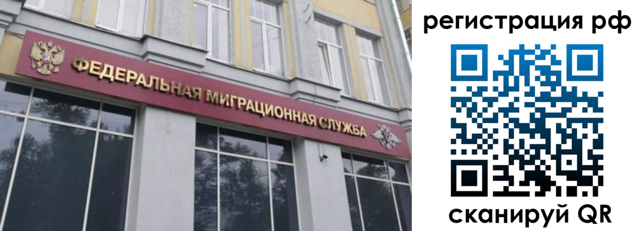 прописка законно в Зверево